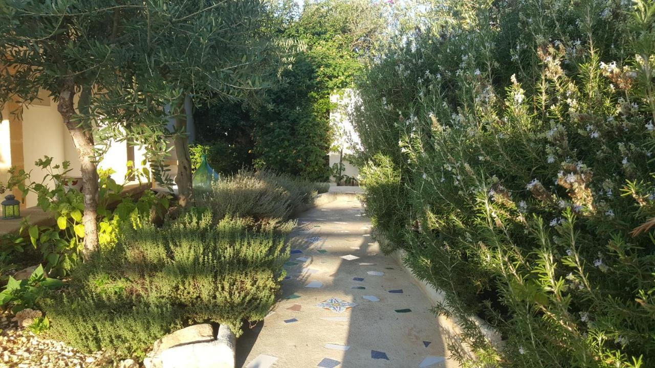 Villa Ceni - Appartamenti Con Camere, Cucina, Wc E Terrazza Sul Mare In Villa Con Piscina, Giardino E Parcheggio Marinella di Selinunte Dış mekan fotoğraf